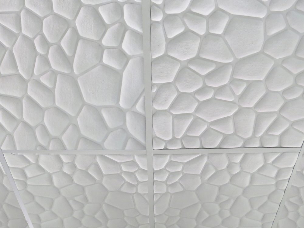 Resonance Embossed Ceilling Tiles